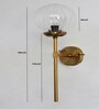 Modern Brass Funner Wall Light Clear Kharbuja Glass