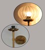 Modern Brass Funner Wall Light Clear Kharbuja Glass