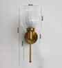 Modern Clear Tulip Glass Wall Sconce