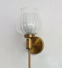 Modern Clear Tulip Glass Wall Sconce