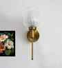 Modern Clear Tulip Glass Wall Sconce