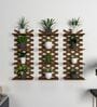Modern Criss Cross Designer Dark Walnut Planter Shelves Set Of 3