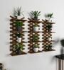 Modern Criss Cross Designer Dark Walnut Planter Shelves Set Of 3