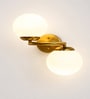 Modern Double Globe Brass Wall Light