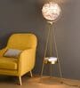 Modern Feather Globe Tripod Floor Lamp with Golden Stand