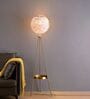 Modern Feather Globe Tripod Floor Lamp with Golden Stand