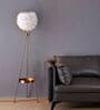 Modern Feather Globe Tripod Floor Lamp with Golden Stand