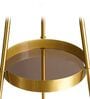 Modern Feather Globe Tripod Floor Lamp with Golden Stand