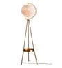 Modern Feather Globe Tripod Floor Lamp with Golden Stand
