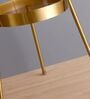 Modern Feather Globe Tripod Floor Lamp with Golden Stand
