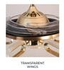 Modern Gold Crystal Fan Chandelier