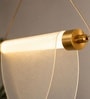 Modern Gold LED Pendant Light with Frosted Curved Acrylic Panels