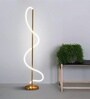 Modern Gold Spiral LED Floor Lamp Modern Gold Spiral LED Floor Lamp