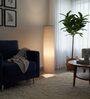Modern Grey Cylinder Floor Lamp   Stylish Lighting for Living Room & Bedroom