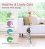 Modern Orange Nylon Hanging Cat Toy