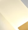 Modern LED Acrylic Wall Light