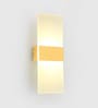 Modern LED Acrylic Wall Light