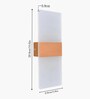 Modern LED Acrylic Wall Light