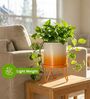 Orange Modern Lucas White Metal Planter