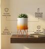 Orange Modern Lucas White Metal Planter