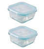 Modern Microwave Safe 250ml Glass & PVC (Set of 2) Lunch Box