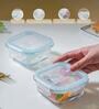 Modern Microwave Safe 250ml Glass & PVC (Set of 2) Lunch Box