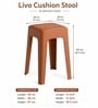 Modern Multi-Purpose Utility Livo Stool In Brown Colour