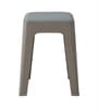 Modern Multi-Purpose Utility Livo Stool In Grey Colour