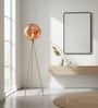 Modern Rose Gold Glass Tripod Floor Lamp Modern Rose Gold Glass Tripod Floor Lamp