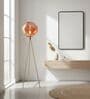 Modern Rose Gold Glass Tripod Floor Lamp