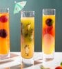 Modern Slim Highball Glass Set 300 Ml (Set Of 6)