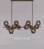 Modern Smoke Glass Bubble Chandelier with 12 Lights