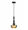 Modern Smoke Pendant Light