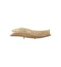 Modern Wings Serving Platter Stylish And Functional Decor (1 Piece)
