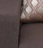 Modesto 1 Seater Sofa in Brown Colour