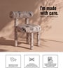 Moenvra Ash Lounge Chair In Ash Grey Colour