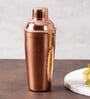 Mojito 750ml Brown Stainless Steel Cocktail Shaker with Strainer