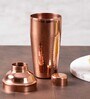 Mojito 750ml Brown Stainless Steel Cocktail Shaker with Strainer