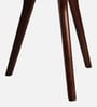 Molly Sheesham Wood End Table In Walnut Finish