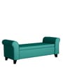 Molo Recamier With Storage In Sea Green Colour