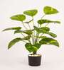 Artificial Money Plant 65Cm