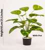 Artificial Money Plant 65Cm