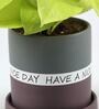 Money Natural Plant In Have A Nice Day Purple Plate Ceramic Pot