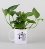 Money Plant In Maa Printed Mug