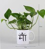Money Plant In Maa Printed Mug