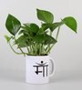 Money Plant In Maa Printed Mug