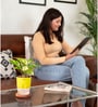 Money Plant Variegated Plant With Self Watering  Pot- Yellow