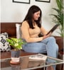 Money Plant Variegated Plant With Self Watering  Pot- Black
