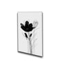 Wall Art Canvas Paintings Set of 4 Black Frame