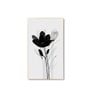 Wall Art Canvas Paintings Set of 4 Gold Frame